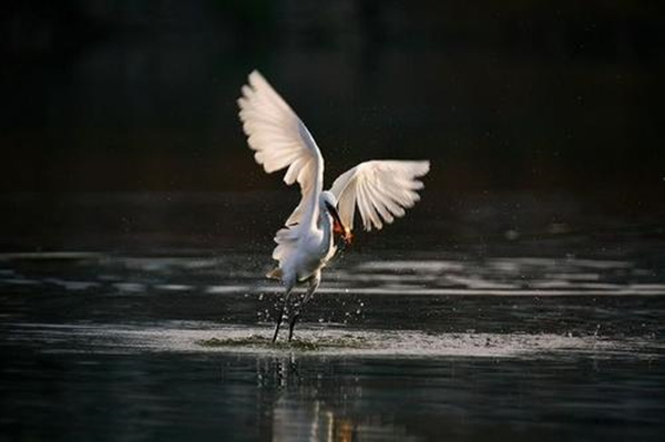 描写的是夏天美景的诗词,夏天的诗词大全300首