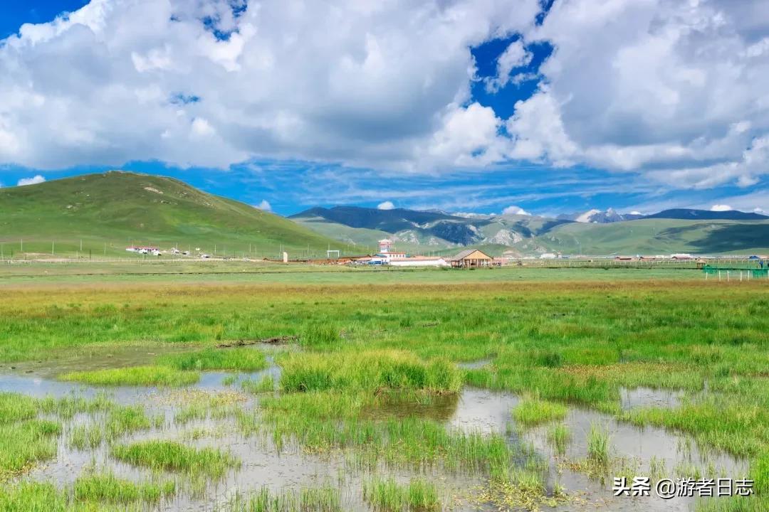 六月奔赴甘南去见证它究竟有多美,六月的甘南简直太美了