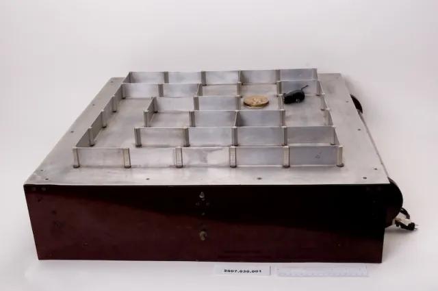 2亿*放播**量的“仓鼠走迷宫”，成了YouTube上的财富密码