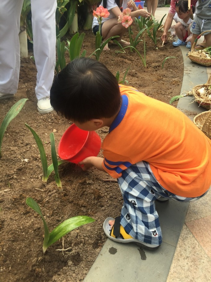 全家去三亚过年攻略,全家去三亚自驾过年攻略