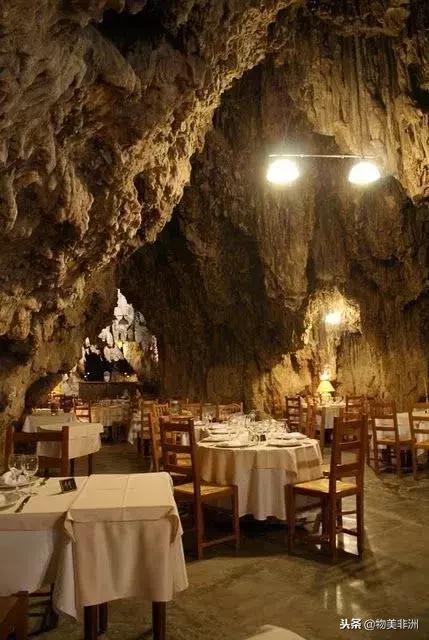 去了非洲才知道，人类才只是这个世界的过路者