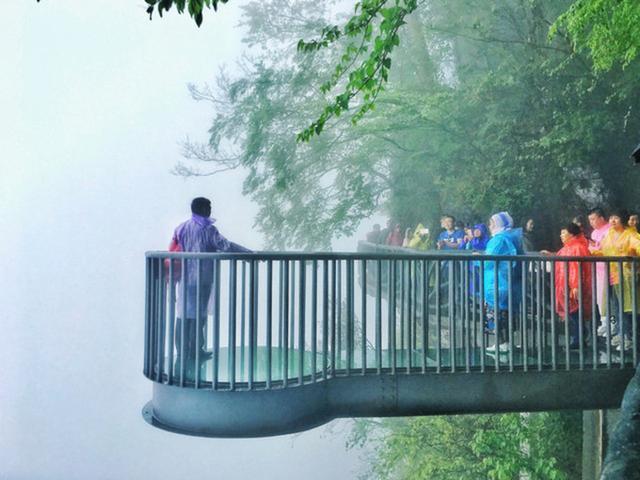 天门山森林公园和张家界森林公园,张家界天门山一日游最佳路线