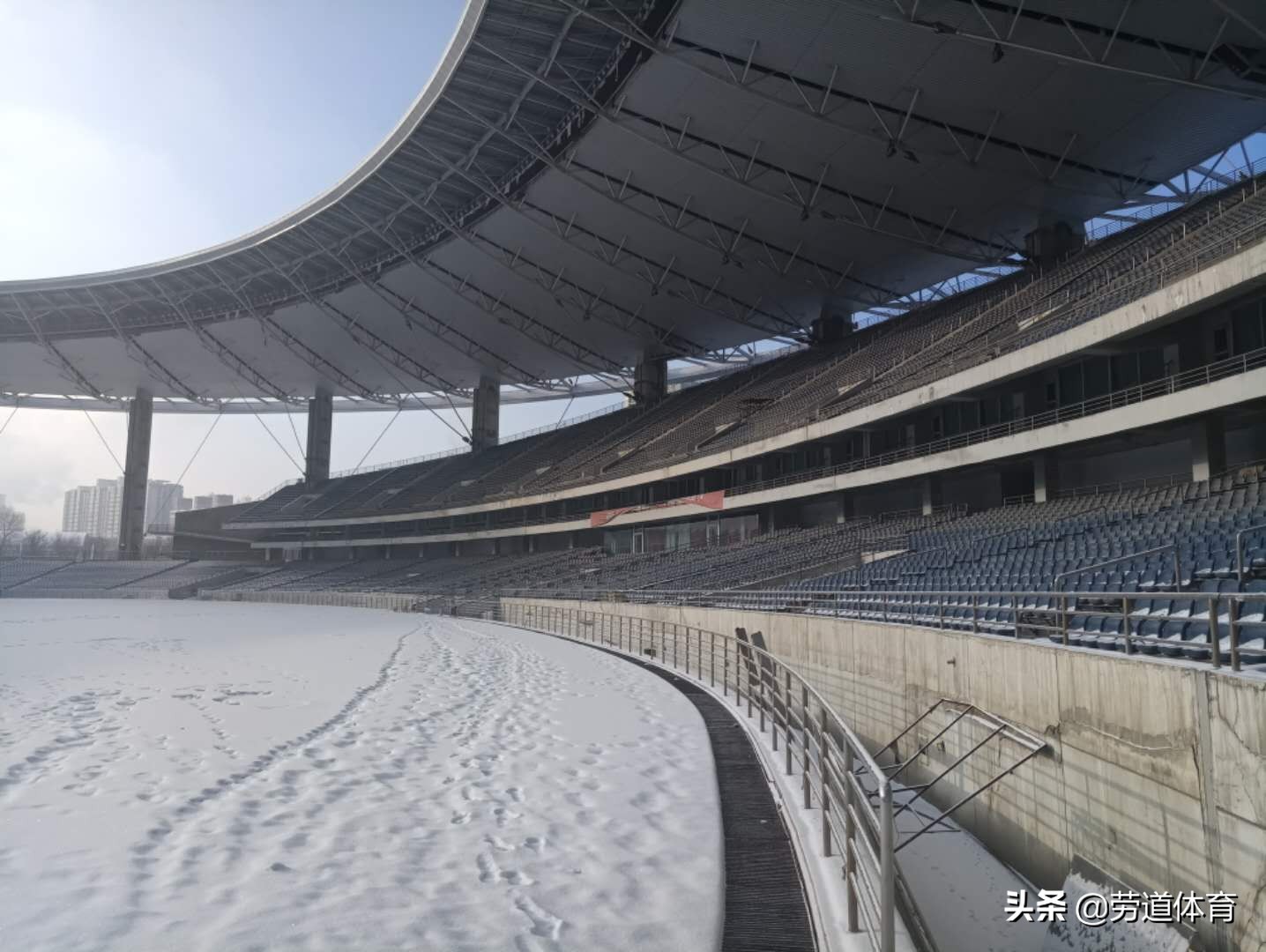 新疆天山雪豹主场,天山雪豹vs北京巨人