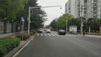 还在担心不会拍视频？魔爪Mini-S稳定器让你上手就会用