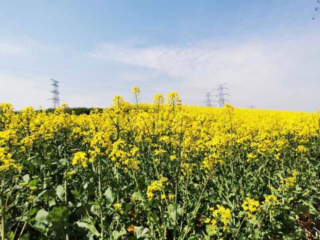 手拍世界（手机摄影平台）-群员作品集（总第584期）