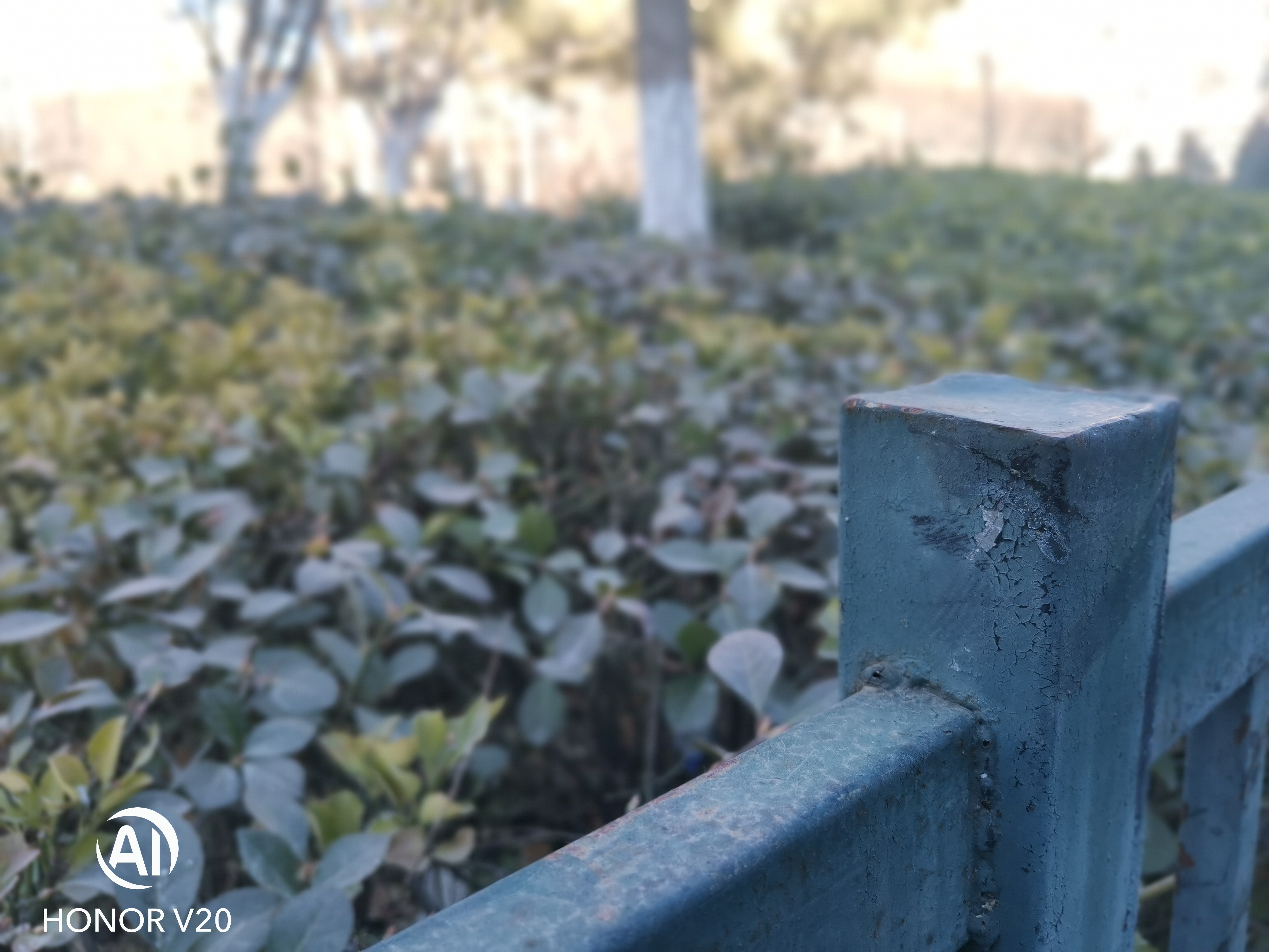 荣耀v20imx586,荣耀v20深度评测