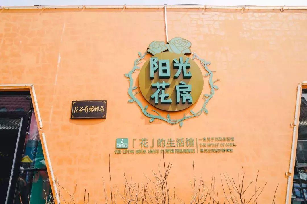 槽糕,是心动的感觉!这个神秘花谷正在悄然绽放!走,去拍照~