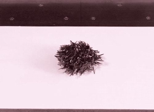 超市真空包装的熟食哪种好,超市牛肉抽真空