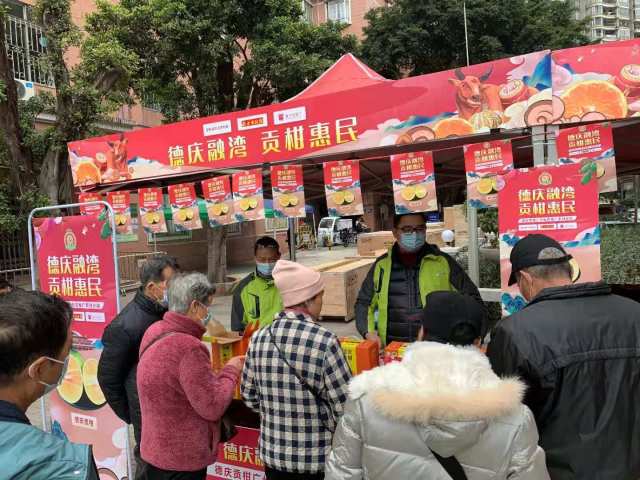 德庆贡柑之乡,德庆贡柑高端礼盒