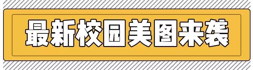 燕子矶中学,南京市燕子矶高级中学