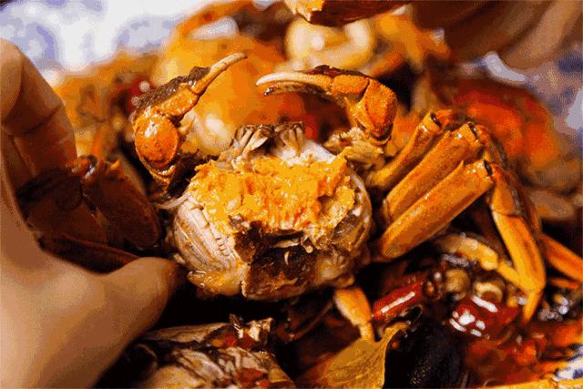 杭州100个打卡点,杭州必打卡五家网红店