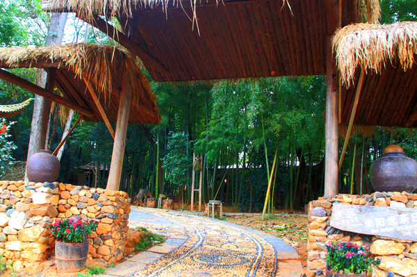 鄱湖之秋,鄱湖之滨信江之畔余干