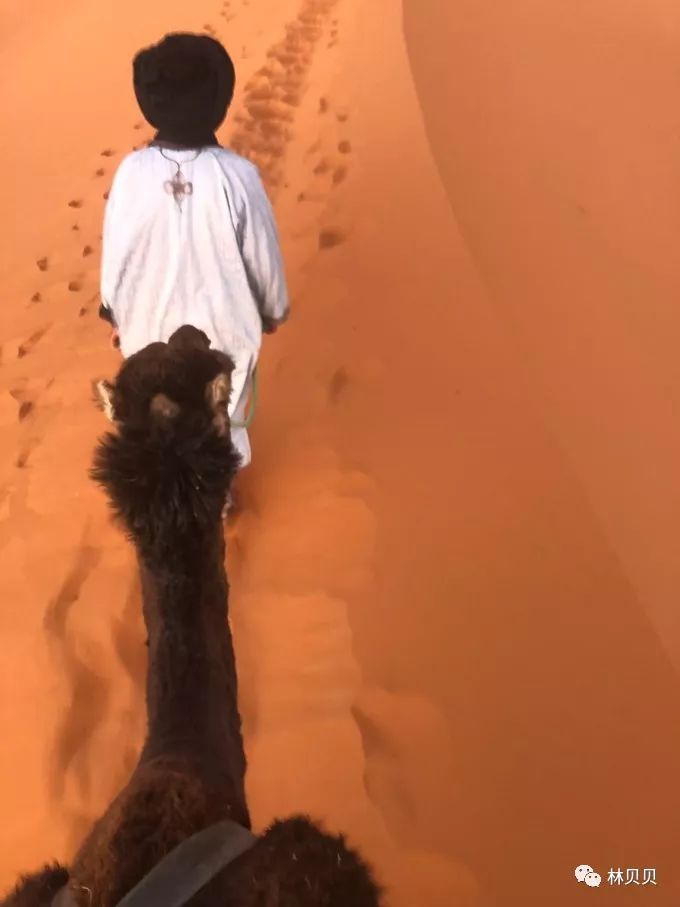 摩洛哥10天,摩洛哥12天瘦5斤减肥成功案例