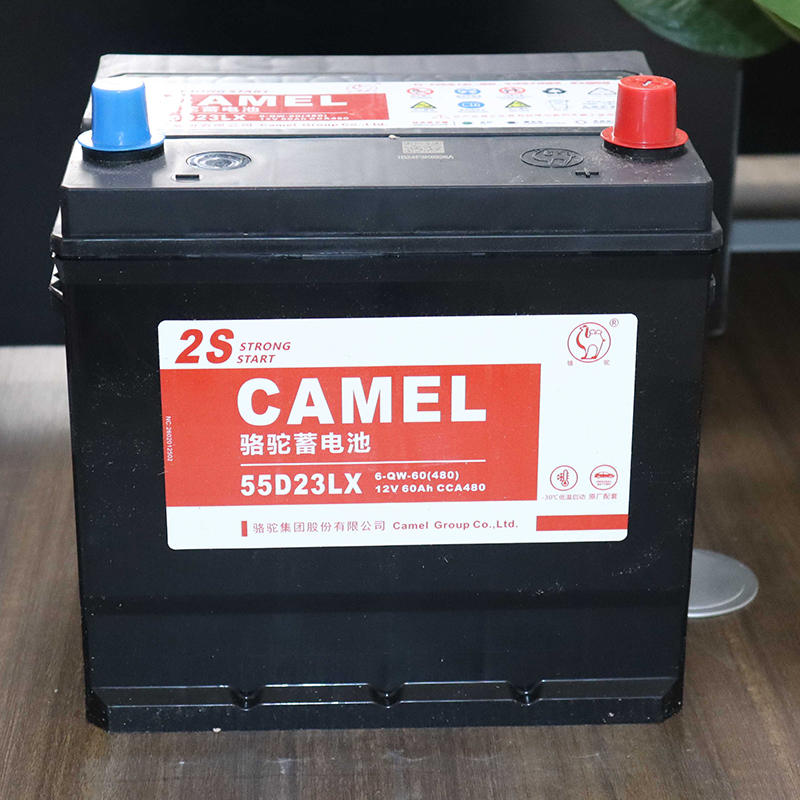 为爱车更换电池，我为什么独宠骆驼这一品牌？