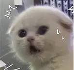 手滑给前男友打电话,手滑给前任打电话怎么办