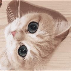 美妆教程日韩化妆,怎么看日本化妆品的有效日期