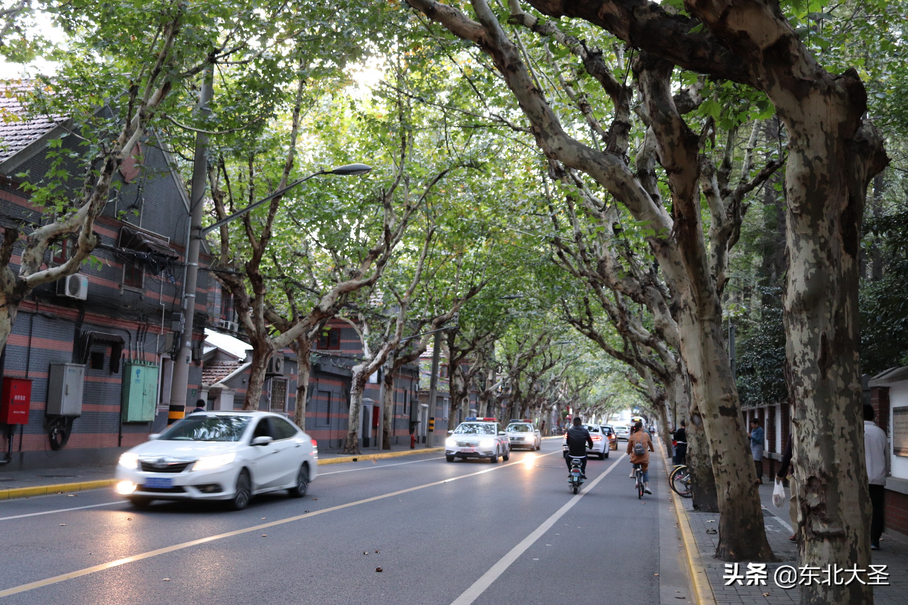 西湖迪士尼自由行攻略,上海南京杭州5日游攻略迪士尼