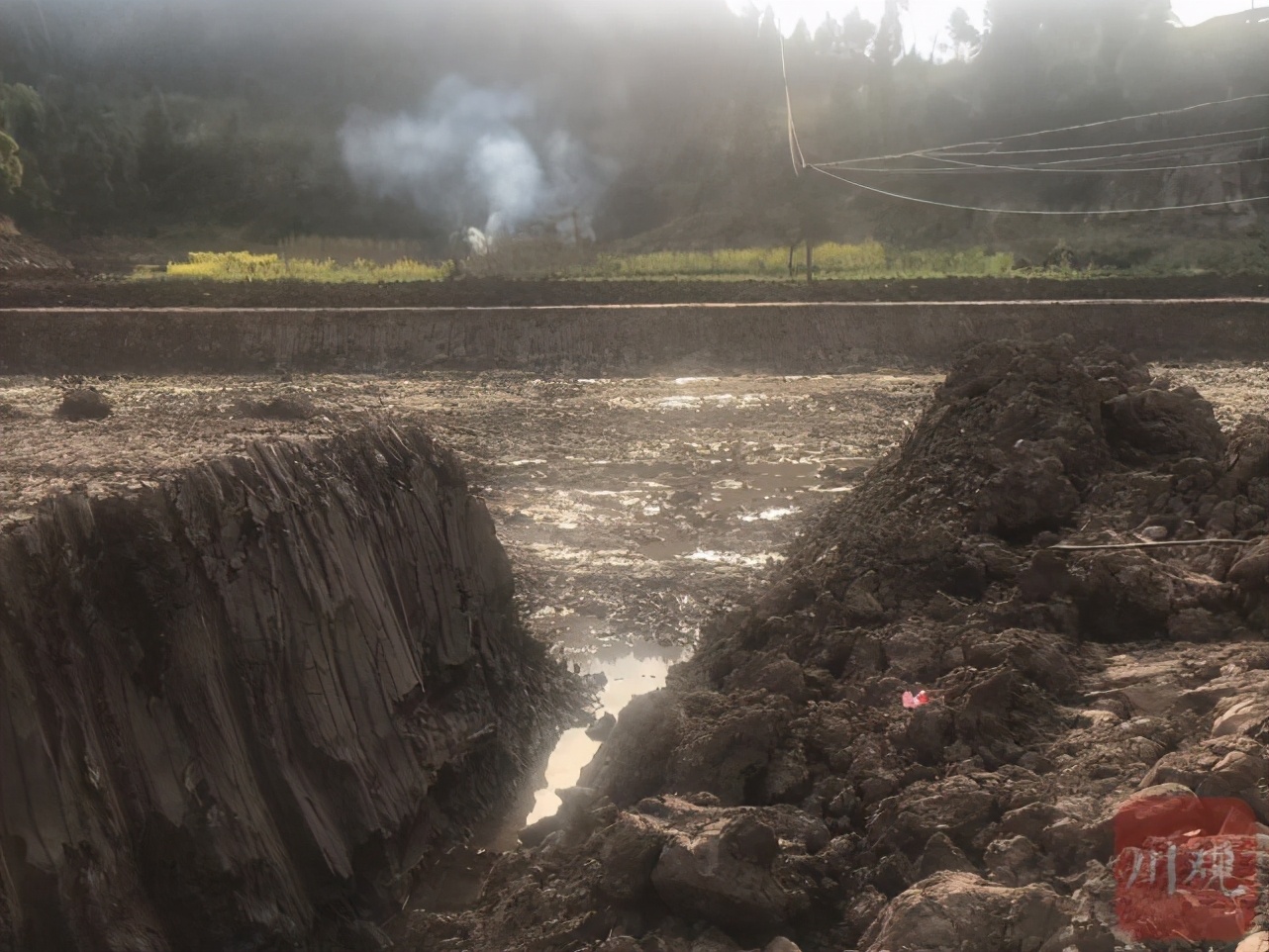 民情｜村民怒了！没签协议，南充部分村民家田地仍被出租给公司