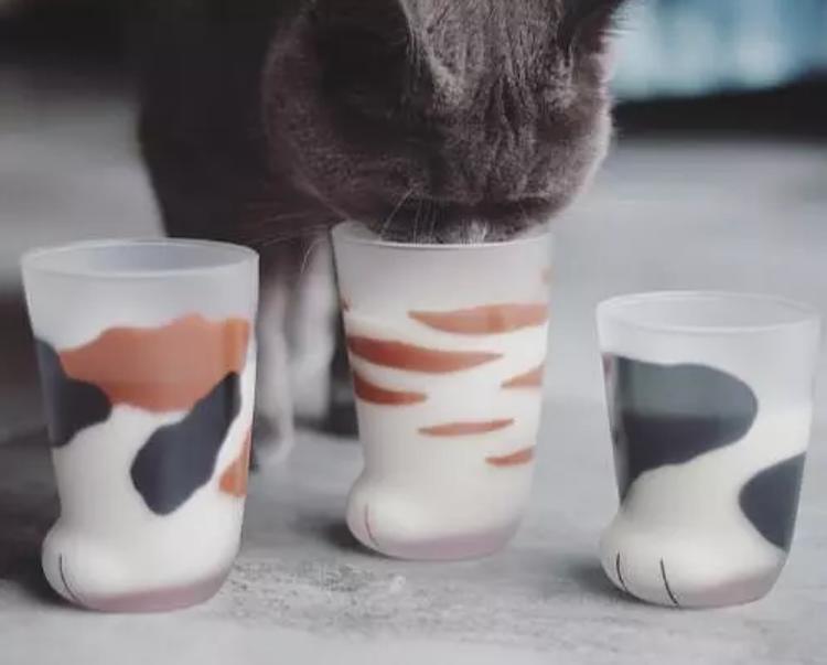 最值得买的猫爪杯,抢购猫爪杯其实可以优雅些