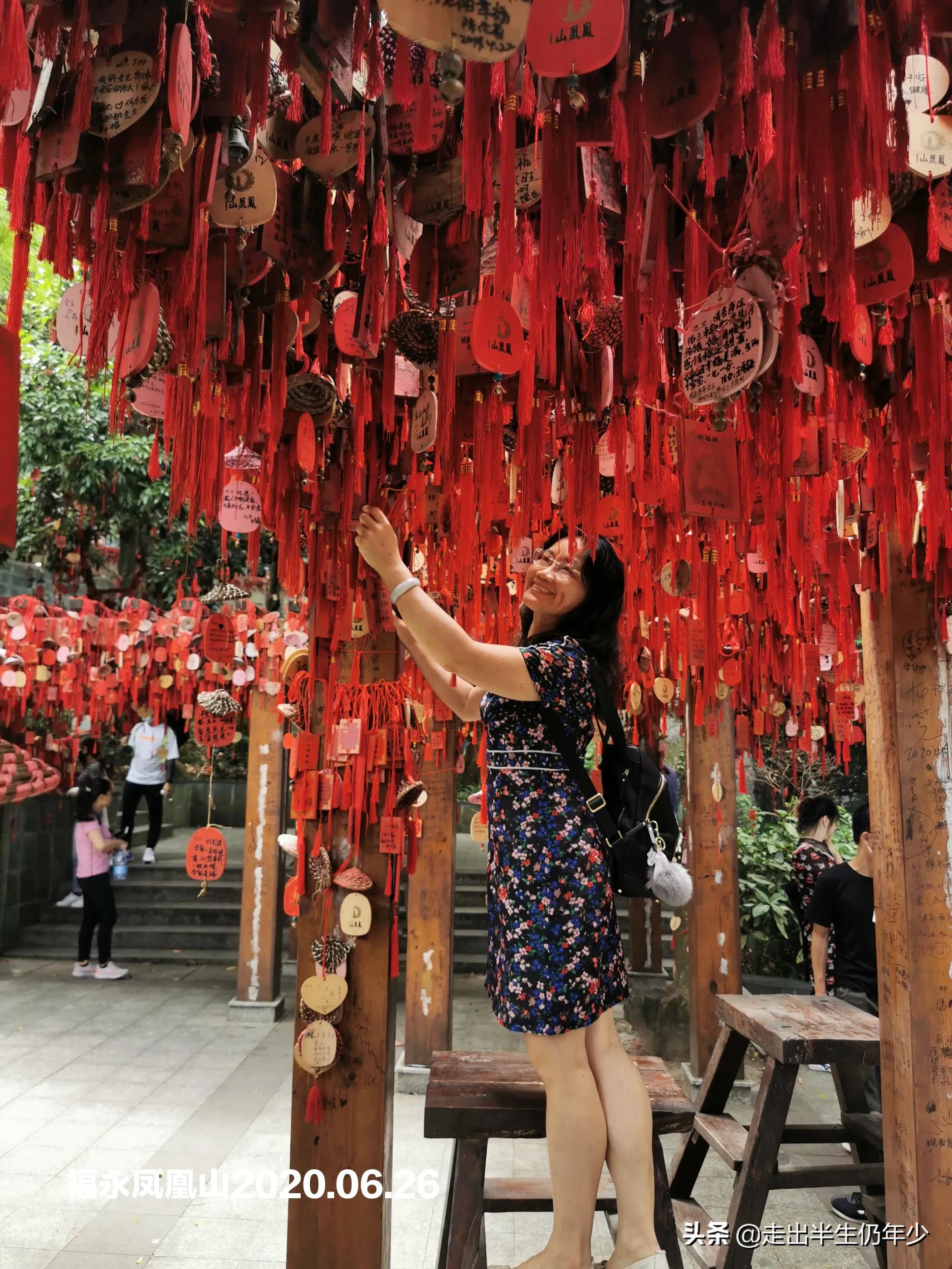 我眼中的深圳地图,我眼中的深圳
