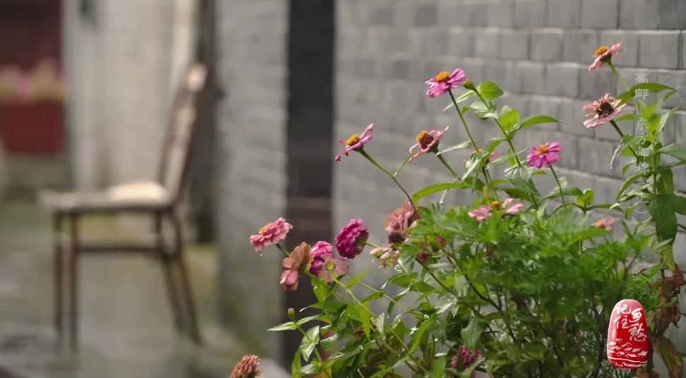 邮之信，不死必达