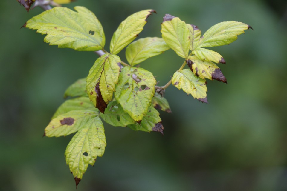 摄影小白买相机推荐,摄影小白看过来