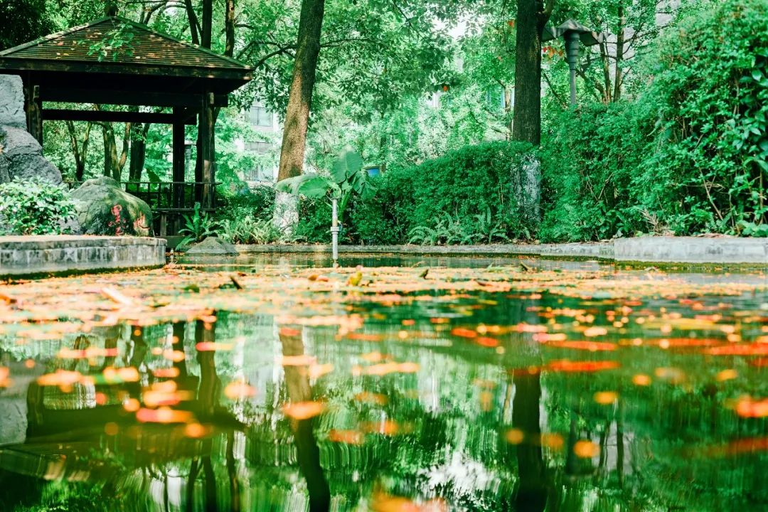 成都四七九小联中,成都四七九中简介