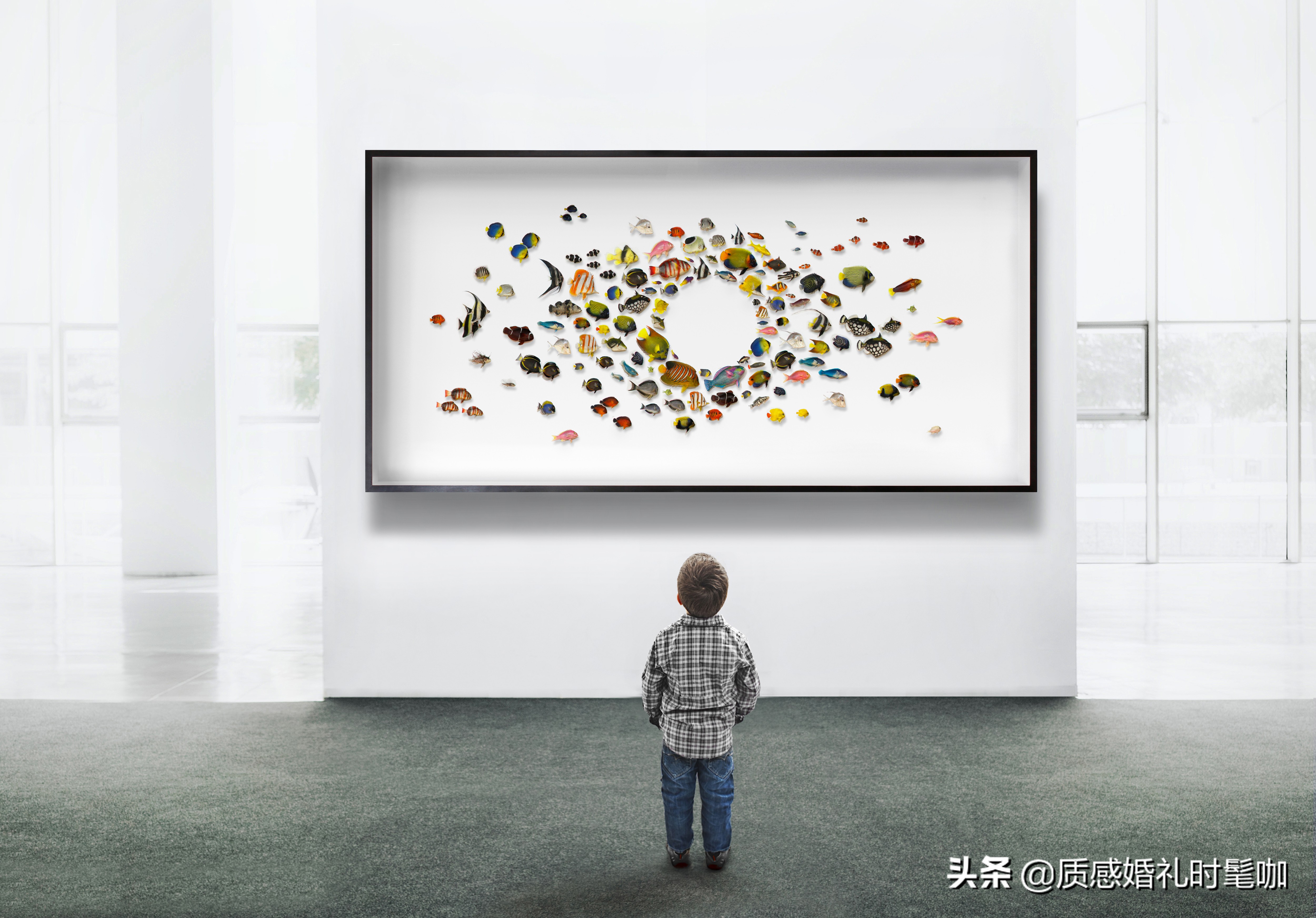 蝗虫算是物种入侵吗,蝗虫是圣甲虫吗