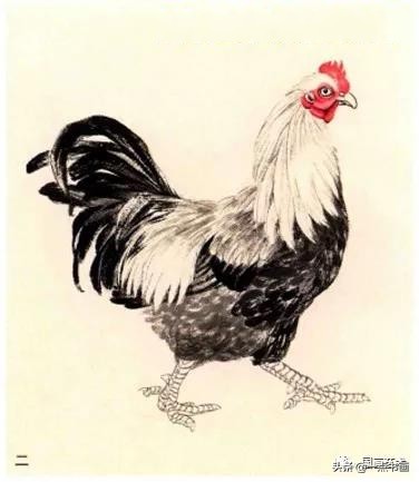 写意国画鸡画法技巧,小写意画鸡怎么画视频教学