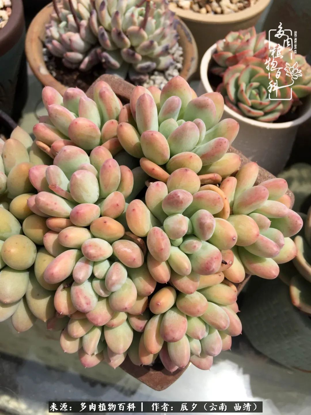 缂辩换鏃栨棊钁宠暏鐢熼,缂辩换鏃栨棊钁宠暏鐢熼鍑哄