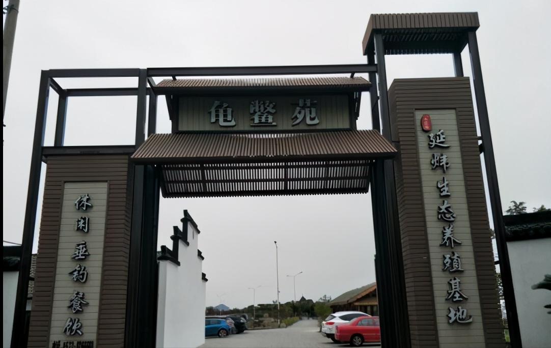 姚志刚养甲鱼,养甲鱼发家年赚一千万