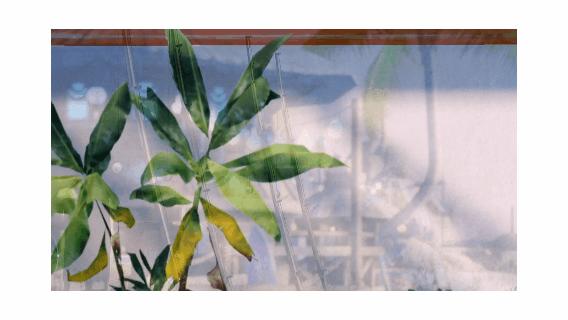 mmorpg到底玩什么,mmorpg为什么取消等级