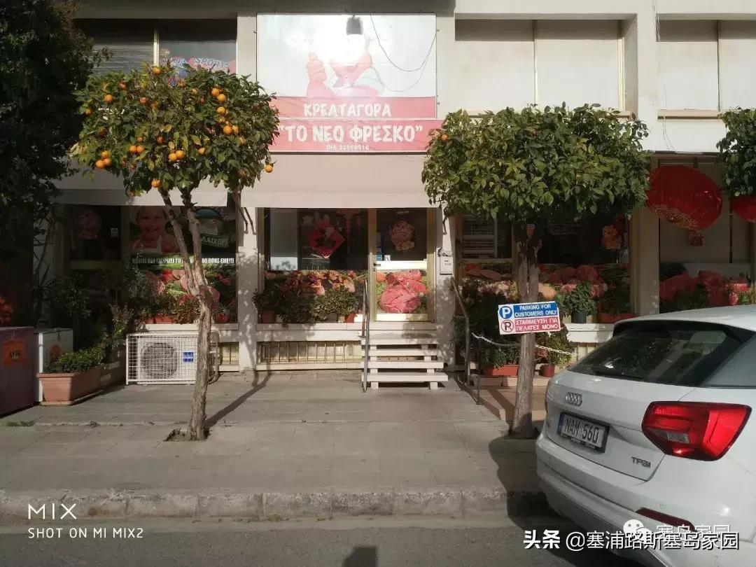 塞浦路斯中国餐厅排名,中国美食塞浦路斯