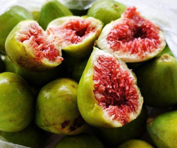 无花果栽培管理技术要点是什么,无花果怎么种植视频