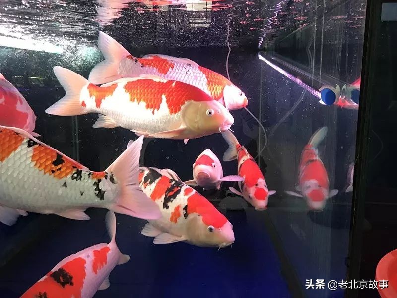 北京国庆节有没有集市,北京国庆假期逛大集