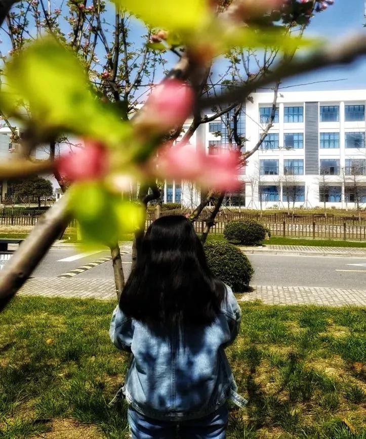 南通大学杏林学院多大面积,南通大学杏林学院排名