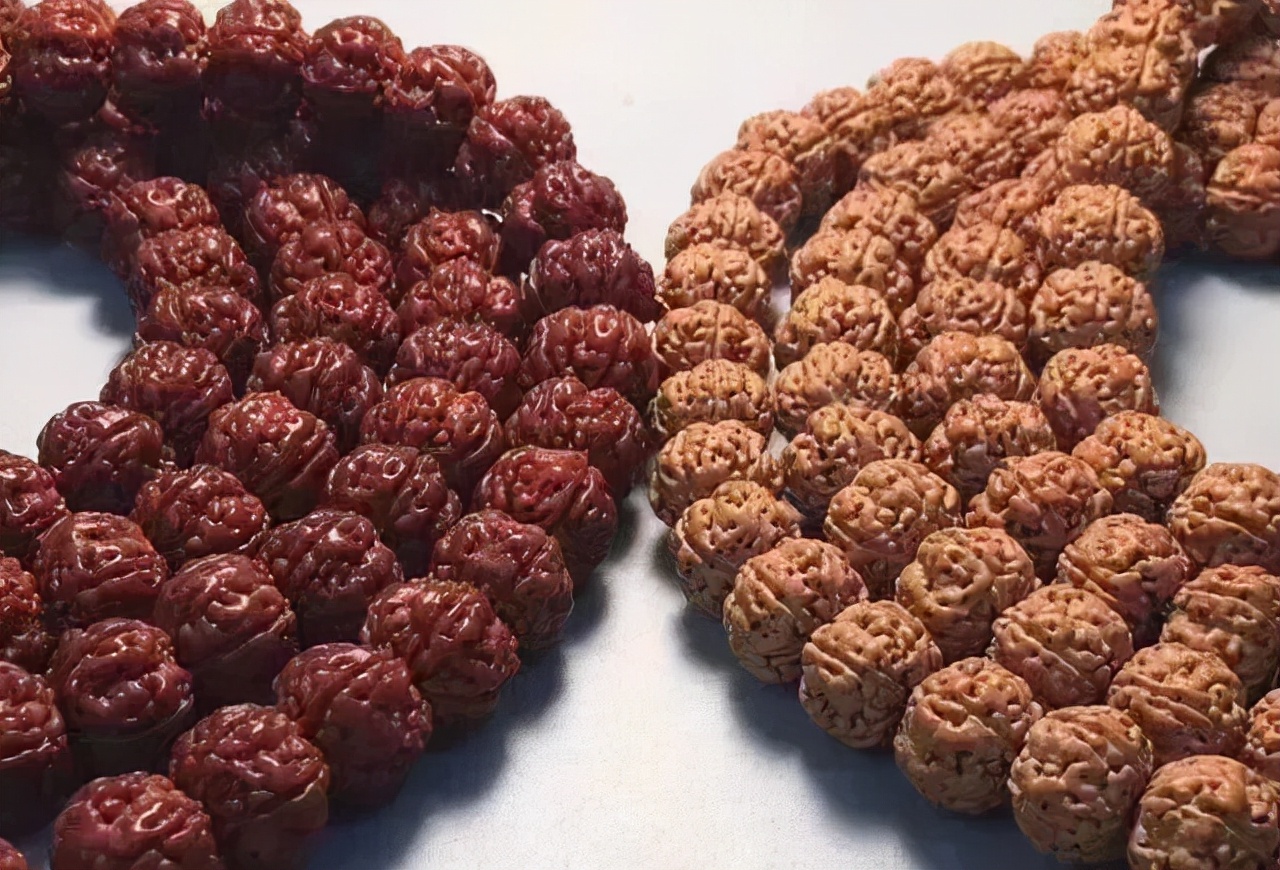 金刚菩提为什么不变色,金刚菩提为什么盘了很久都不红