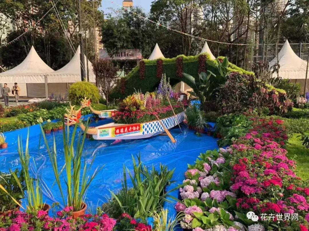香港花卉艺术展,共赴盛会活动