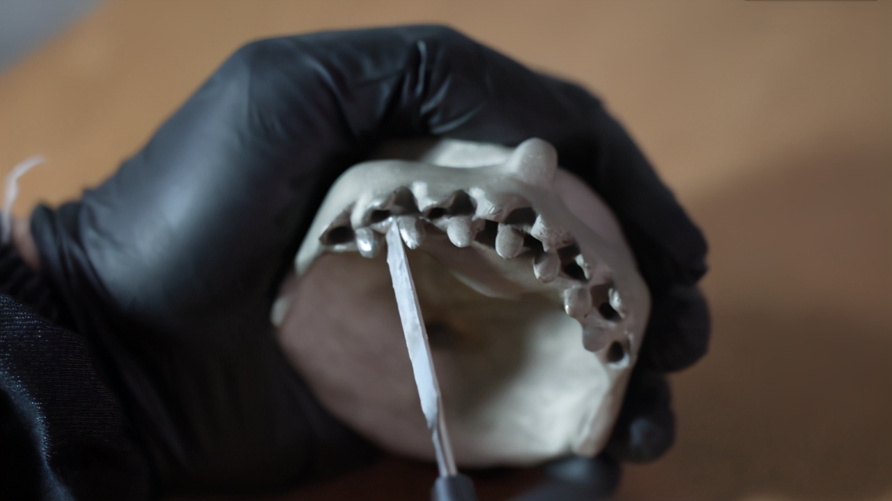 颚之巨人胡桃夹子周边,颚之巨人胡桃夹子