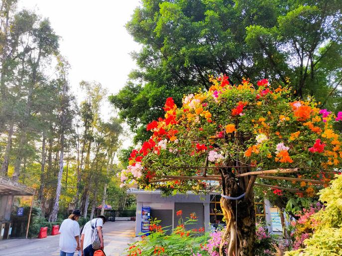 日照海洋公园闭园时间,海昌海洋公园开园闭园时间