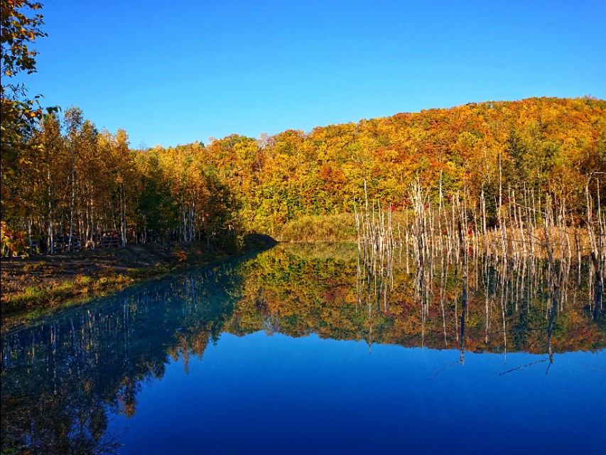北海道登别到美瑛町需多久,日本北海道美瑛川的雪景