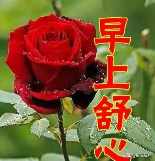 女人节祝福语送给你,最美丽的女人节祝福