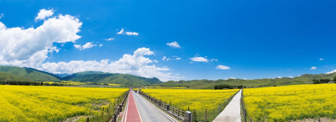 精品旅游线路乡村游亲子游,2020年全国精品乡村旅游路线