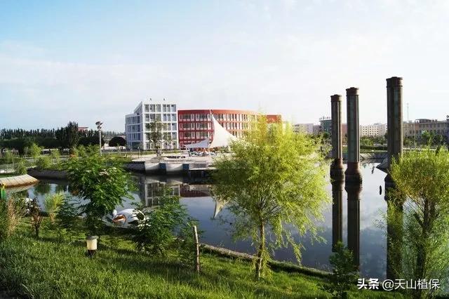 伽师县发展,伽师发展