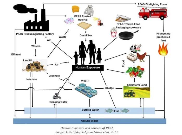 化妆品是不是危险化学品,12种有毒化妆品
