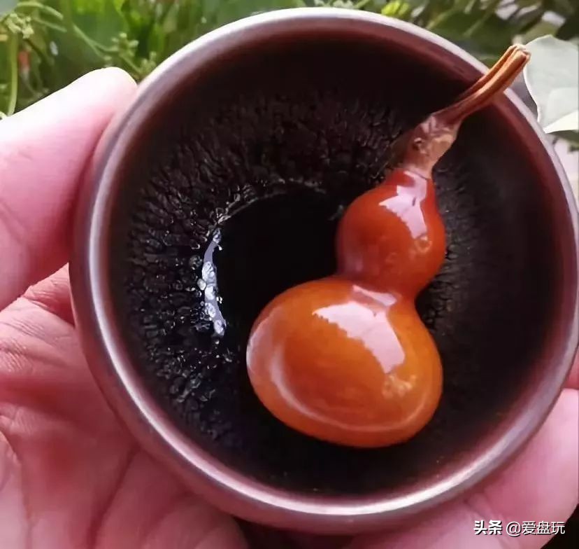 盘好的小葫芦怕晒吗,什么颜色的葫芦适合盘玩