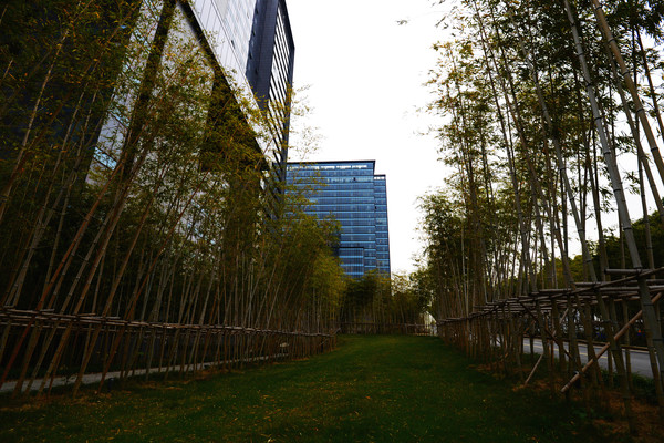 蒋介石在南京的旧居内景,蒋介石华清宫旧居照片