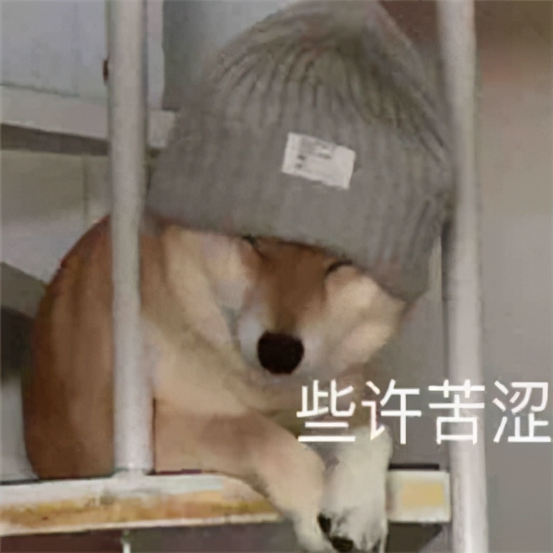 起床啦打工啦表情包动态图片,亲们起床打工了表情包