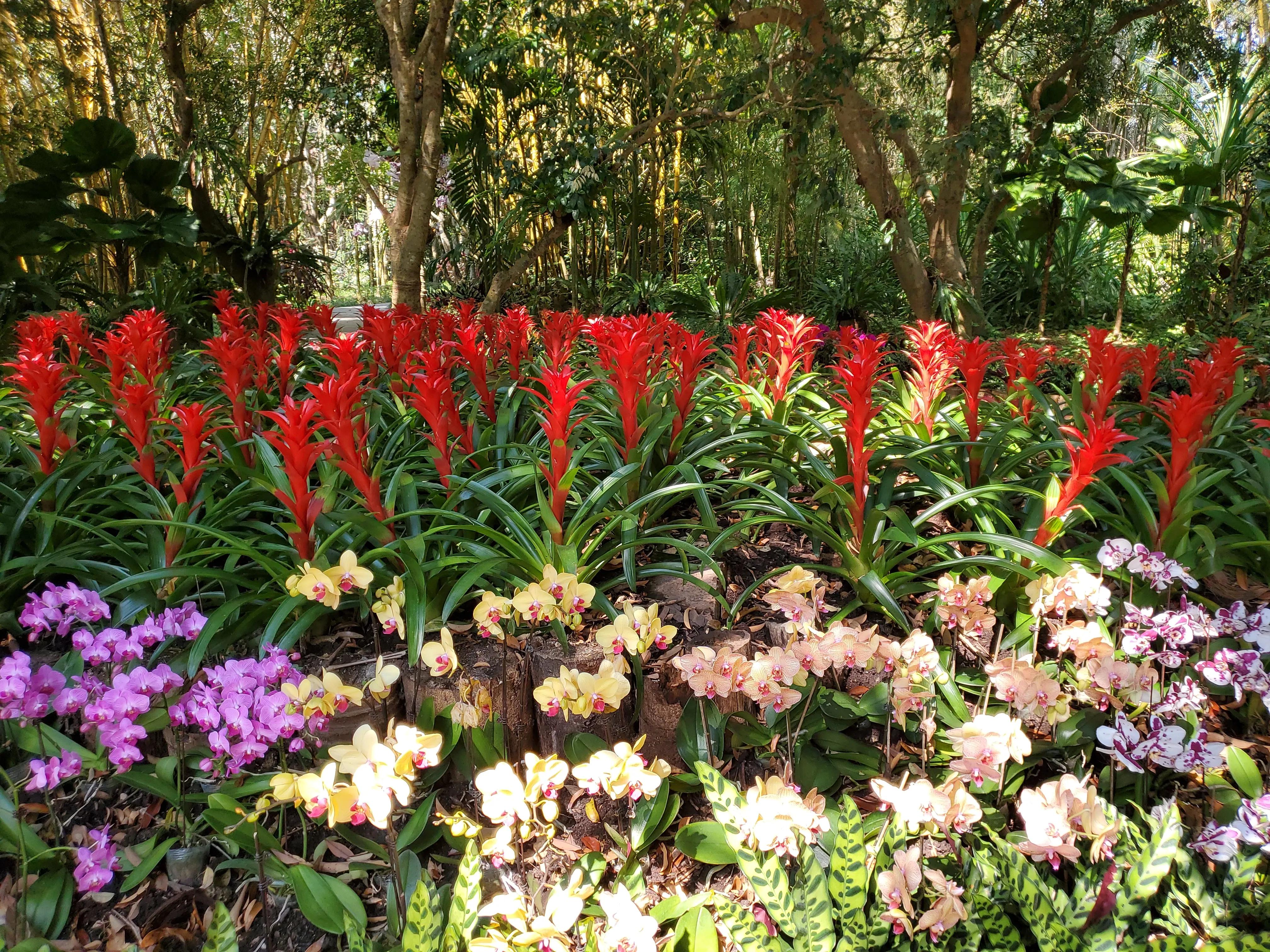 这个冬天我就要去旅行,来三亚享受着冬天里的夏天吧