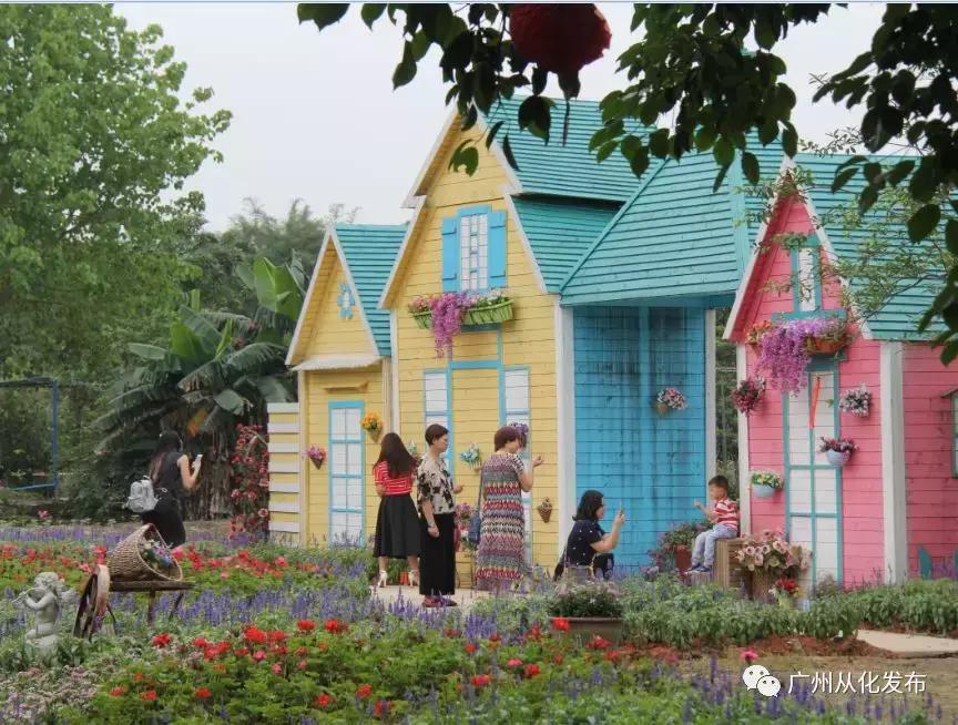 新鲜出炉！从化这两个地方入选“广东最美田园”！